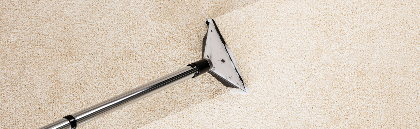 Carpet Cleaning Specials and Promotions AmSteam Edmonton