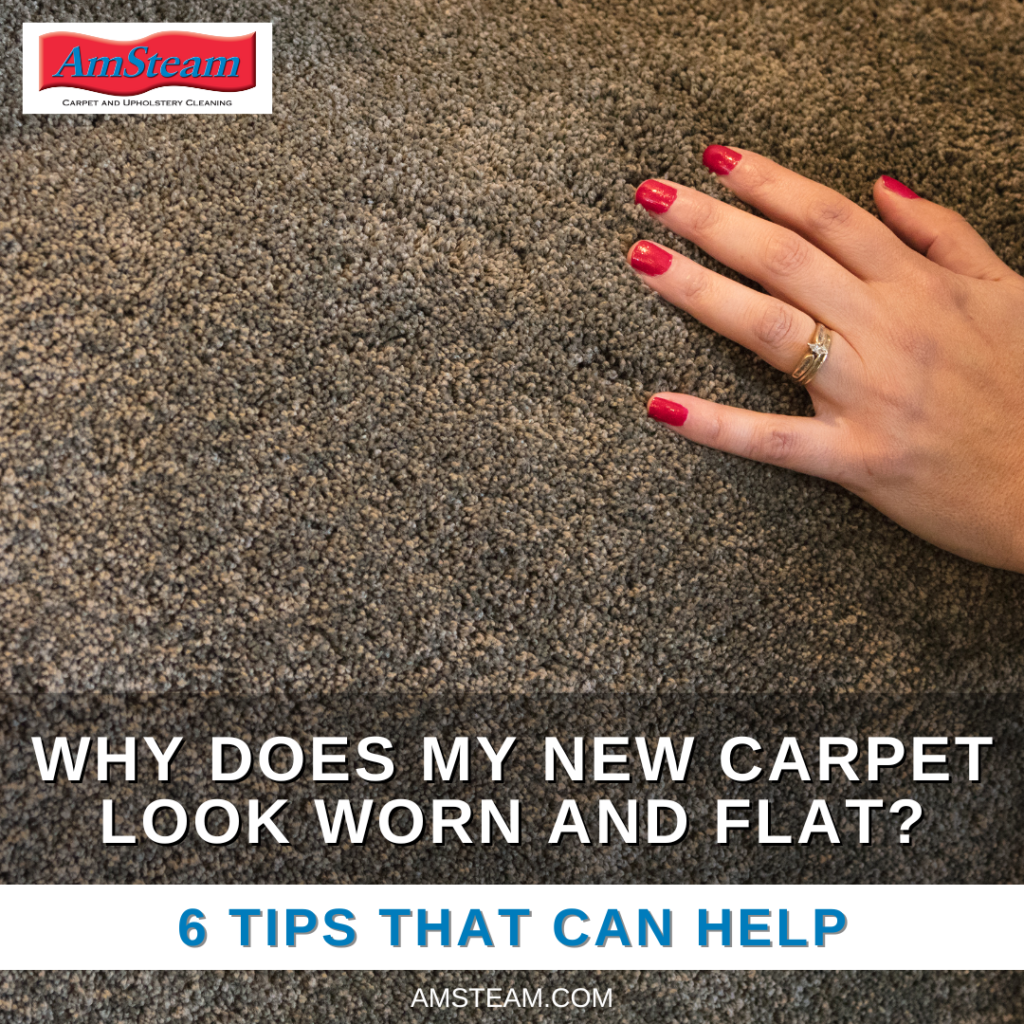 Why does my new carpet look worn and flat? Edmonton Carpet Cleaning