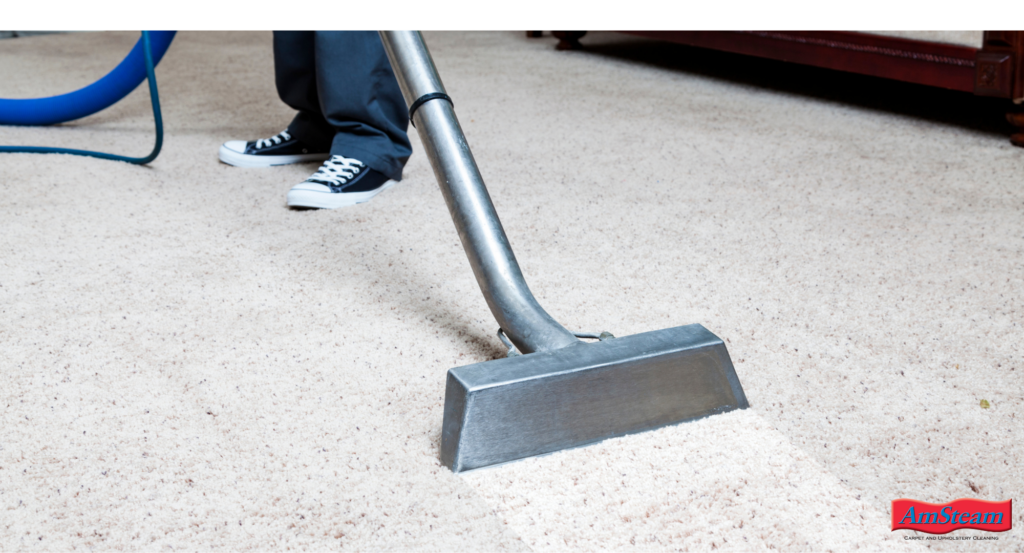 A person professionally cleaning a beige carpet.