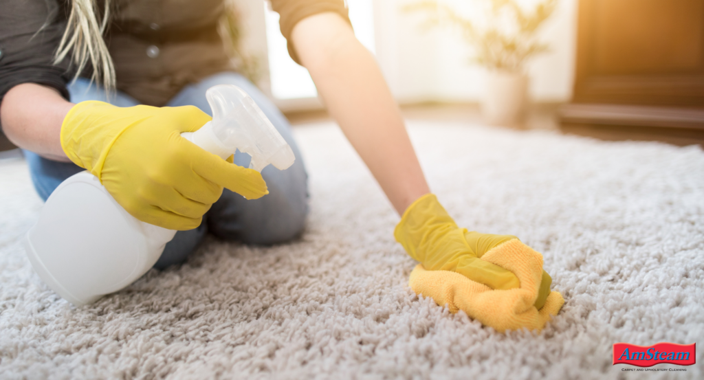 Blotting a carpet stain with stains on a carpet, using solution of equal parts white vinegar and water in a spray bottle.